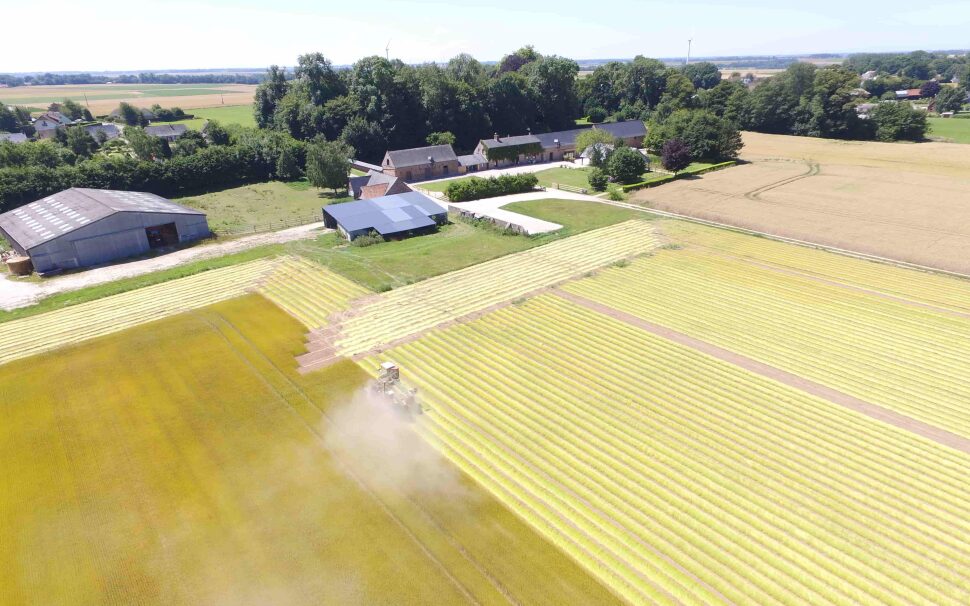 Quels sont les avantages du lin lavé pour les draps ?