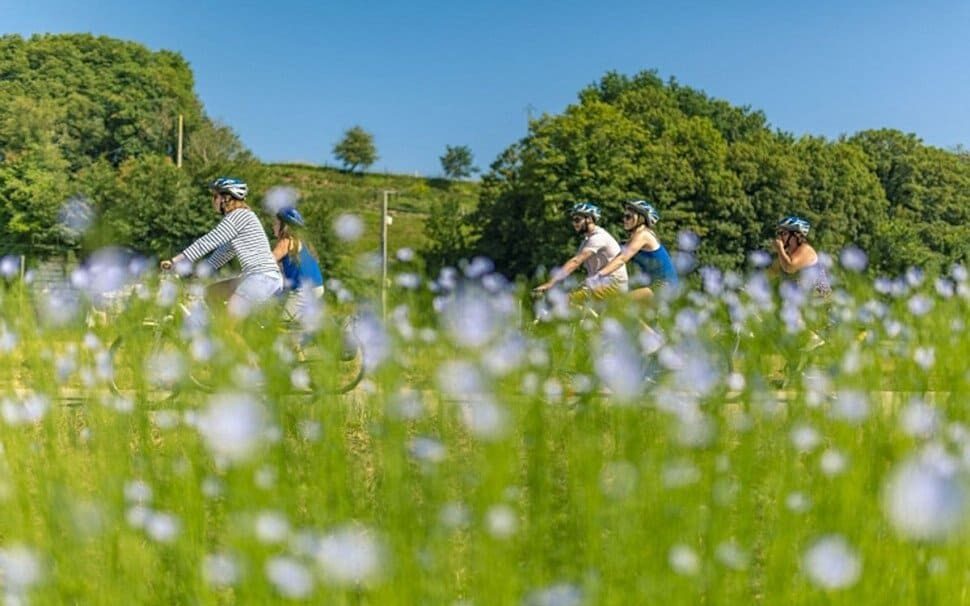 La Véloroute du Lin, un superbe parcours entre terre et mer
