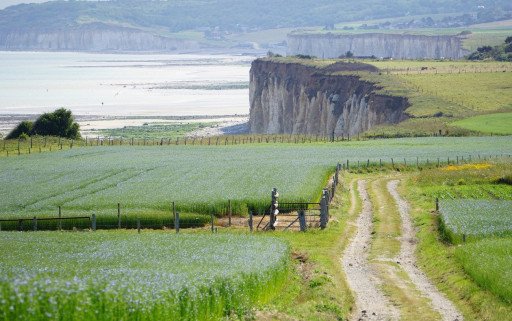 Notre impact environnemental