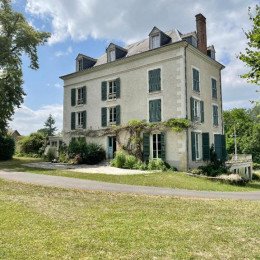 Entre les branches - 