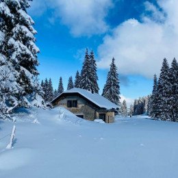 La Loge de la Dolarde - 