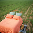 Taie d'Oreiller en Lin Lavé Abricot