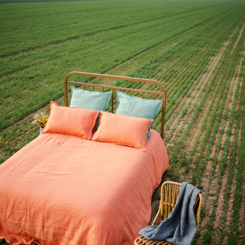 Taie d'Oreiller en Lin Lavé Abricot - Embrin