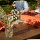 Nappe en Lin Lavé Abricot
