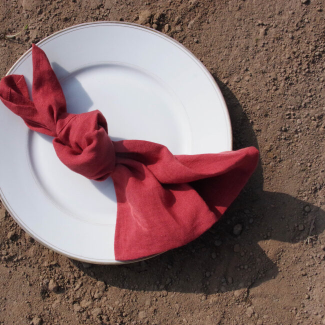 Serviettes de Table en Lin Lavé Rouge Figue (lot de 4)