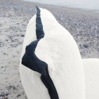 Fauteuil en Lin Bolchoï - Ivoire