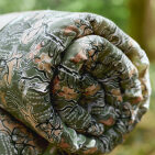 Courtepointe en Lin Lavé Faune Sauvage