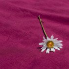 Taie d'Oreiller en Lin Lavé Rose Bruyère