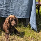 Nappe en lin lavé Ardoise