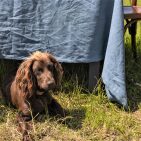 Nappe en lin lavé Ardoise