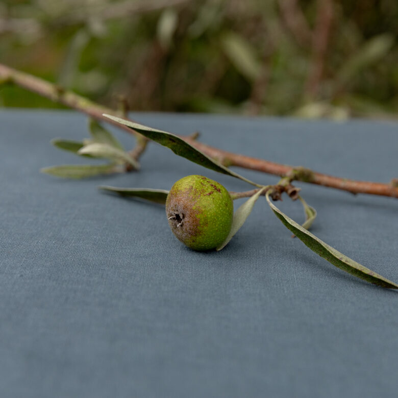 Slate Washed Linen Tablecloth - Embrin