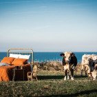 Drap Housse en Lin Lavé Caramel