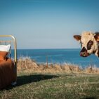 Drap Plat en Lin Lavé Caramel