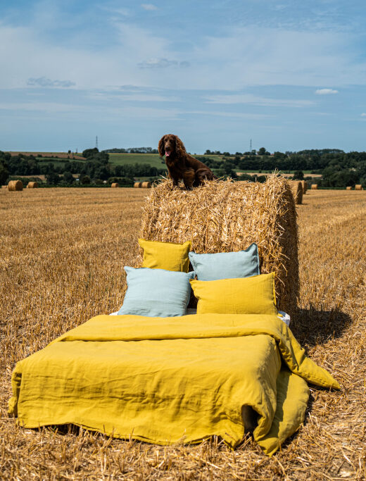 Drap Plat en Lin Lavé Ambre