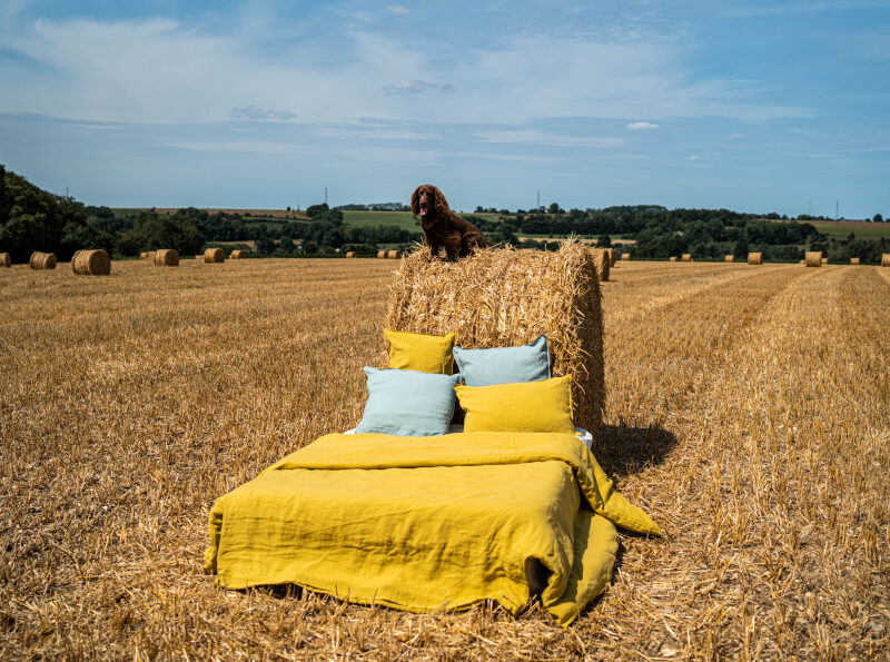Drap Plat en Lin Lavé Ambre