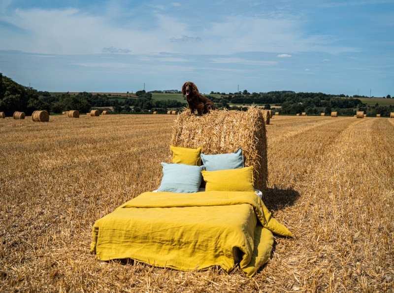 Drap Plat en Lin Lavé Ambre