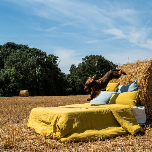 Housse de Couette en Lin Lavé Jaune Ambre