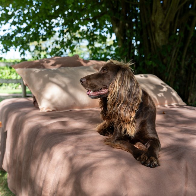 Housse de Couette en Lin Lavé Noisette