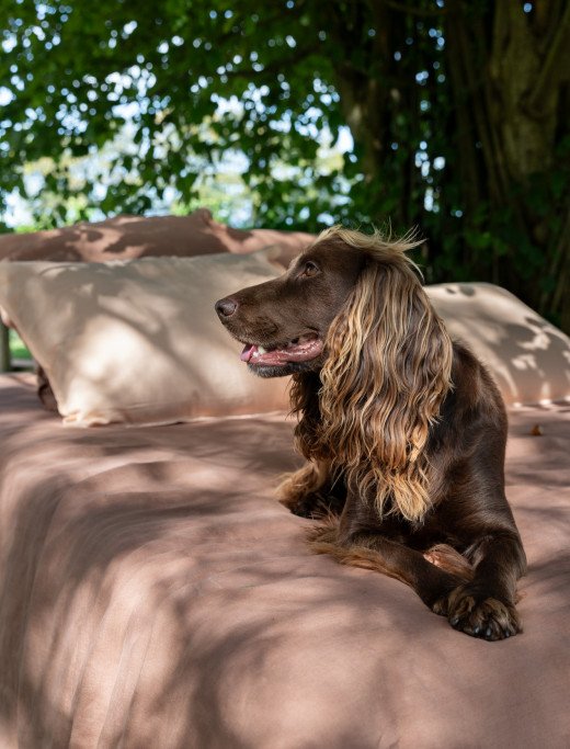 Housse de Couette en Lin Lavé Noisette