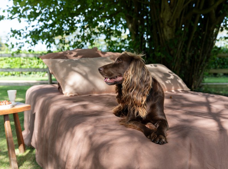 Housse de Couette en Lin Lavé Noisette