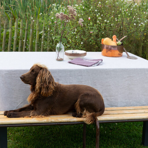 Nappe en lin lavé Rayure Prune