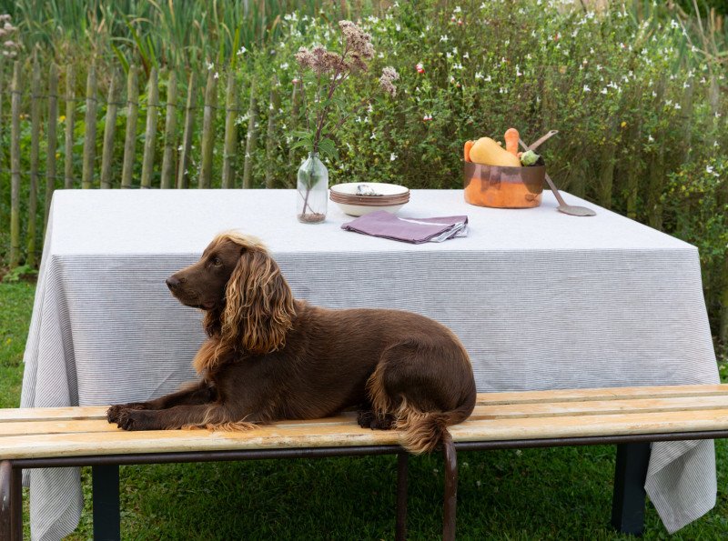 Nappe en lin lavé Rayure Prune