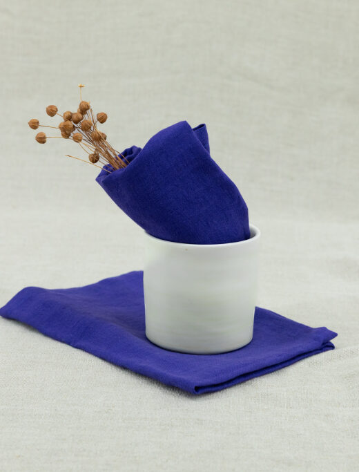 Serviettes de table en lin lavé Indigo (lot de 4)