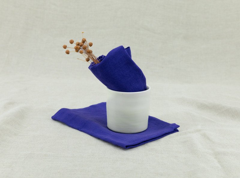 Serviettes de table en lin lavé Indigo (lot de 4)