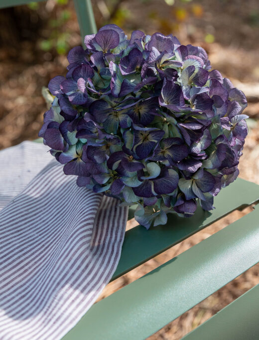 Serviettes de table en lin lavé Rayure Prune (lot de 4)