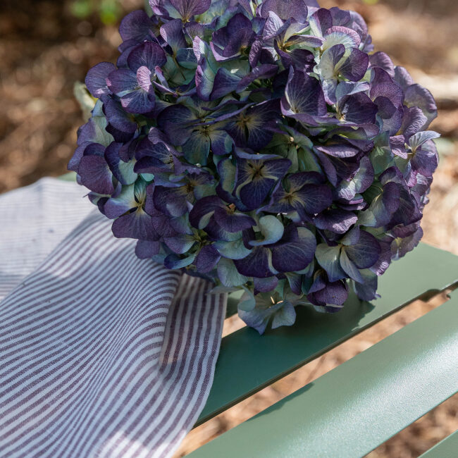 Serviettes de table en lin lavé Rayure Prune (lot de 4)