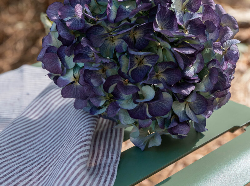 Serviettes de table en lin lavé Rayure Prune (lot de 4)