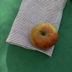 Serviettes de table en lin lavé Rayure Prune (lot de 4)