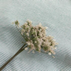 Nappe en lin lavé Rayure Sauge