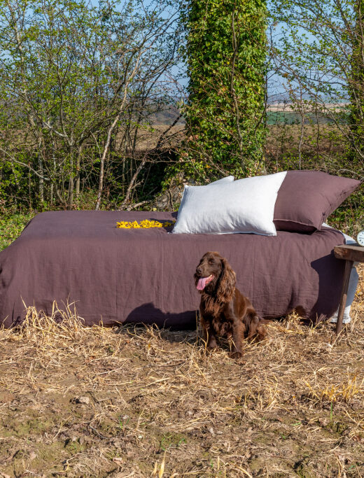 Housse de couette en lin lavé Châtaigne