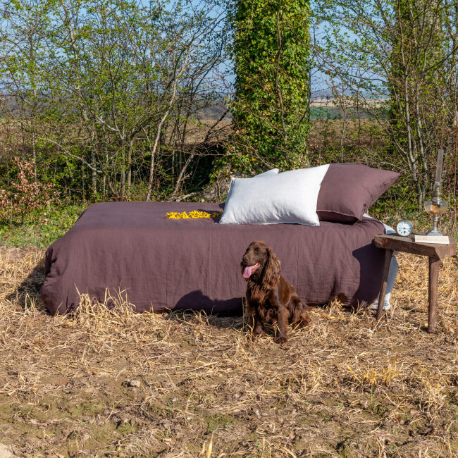 Housse de couette en lin lavé Châtaigne