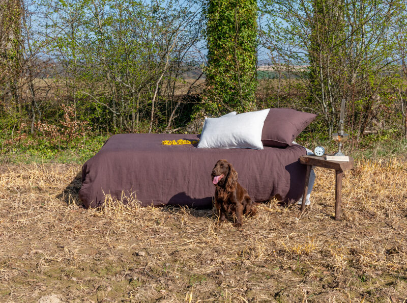 Housse de couette en lin lavé Châtaigne