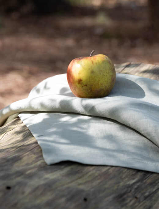 Serviettes de Table en Lin Lavé Naturel (lot de 4)