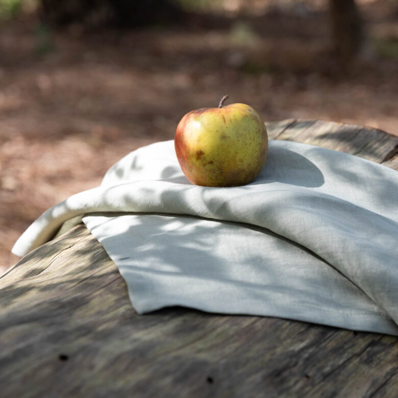 Serviettes de Table en Lin Lavé Naturel (lot de 4) - Embrin