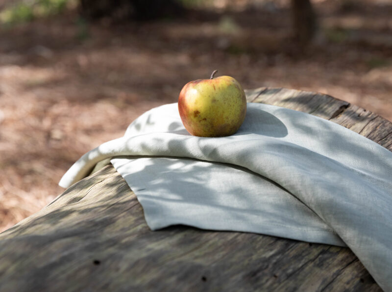 Serviettes de Table en Lin Lavé Naturel (lot de 4)