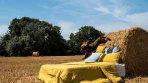 Housses de Couette en Lin Jaune - Embrin