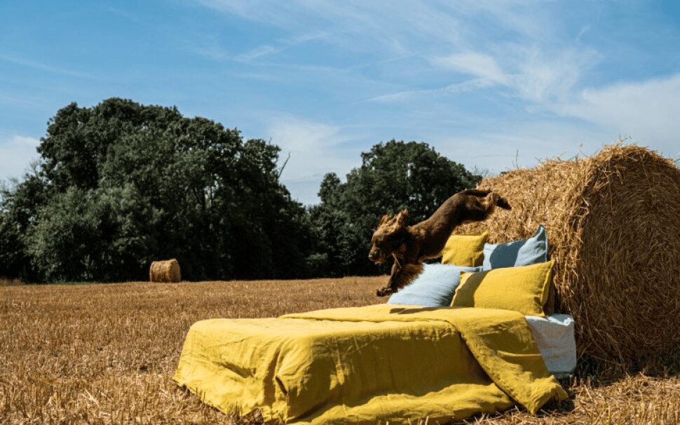 Housses de Couette en Lin Jaune