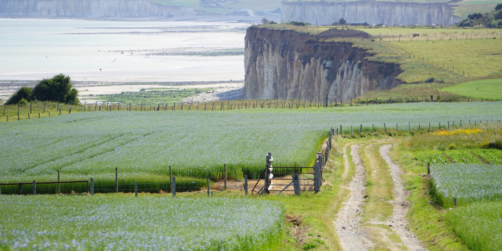 Terroir d’exception
