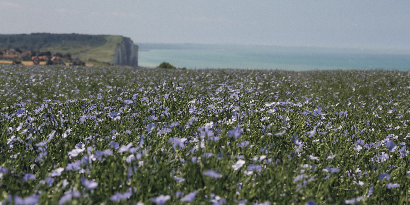 Terroir d’exception
