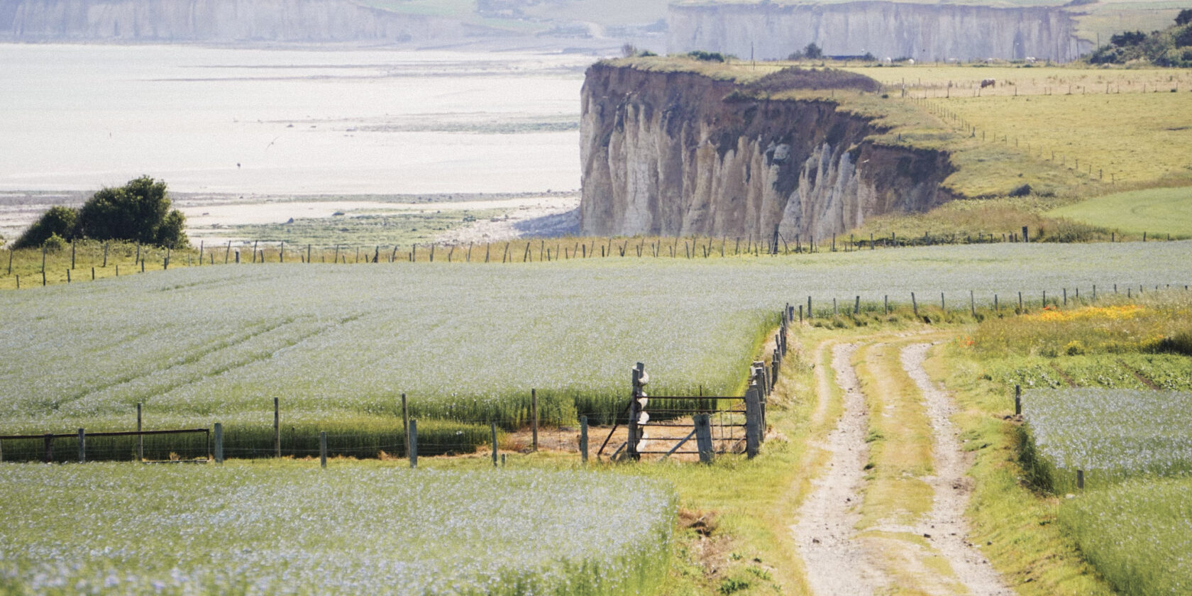 Terroir d’exception
