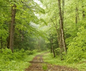 Consommer français pour l'écologie