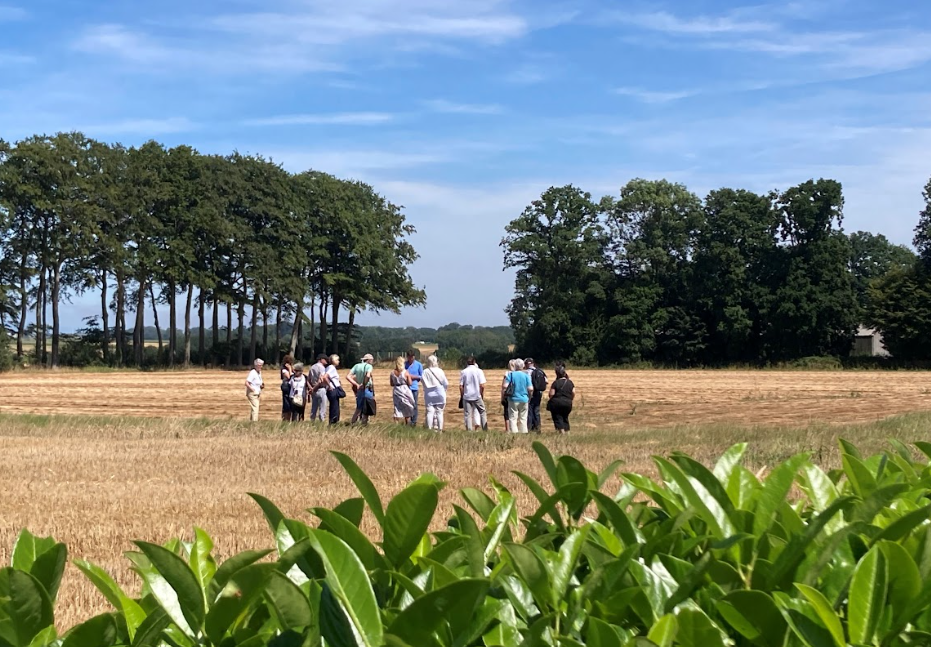 Visite guidée champs lin