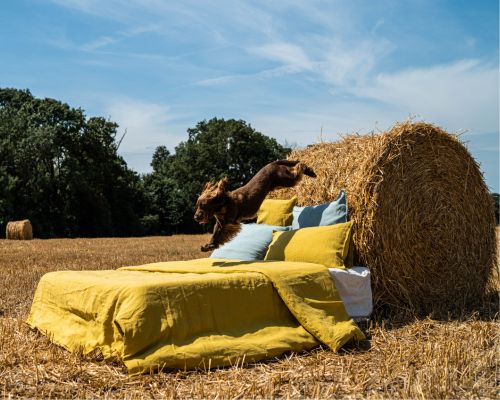 Housse de couette en lin jaune