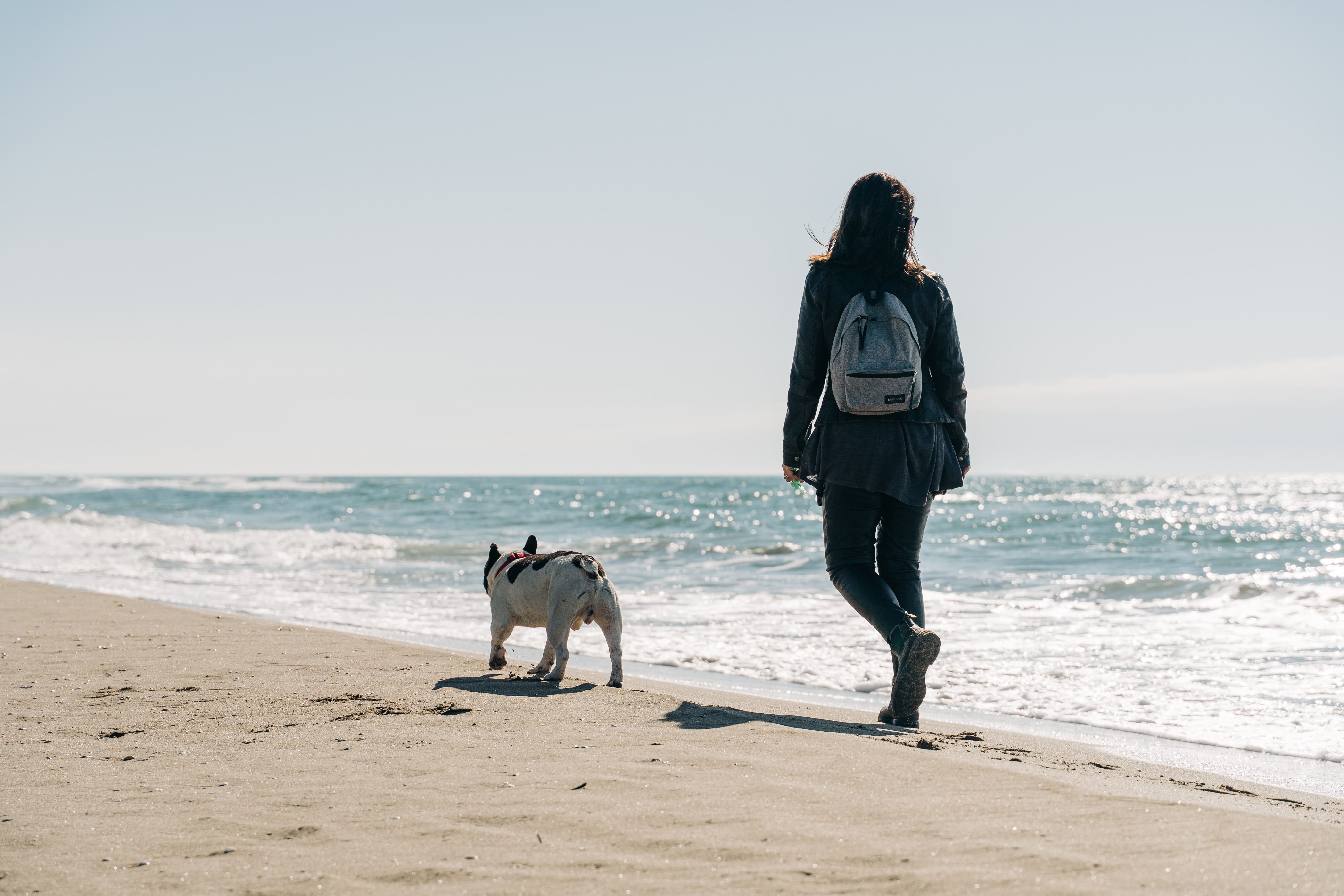 chien-promenade-embrin