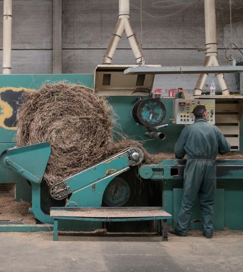 Teillage du Lin
