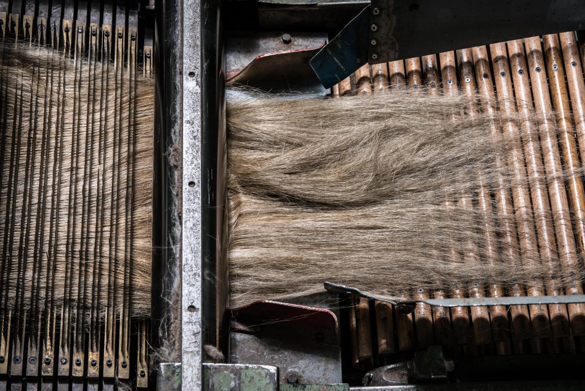 teillage_lin_embrin